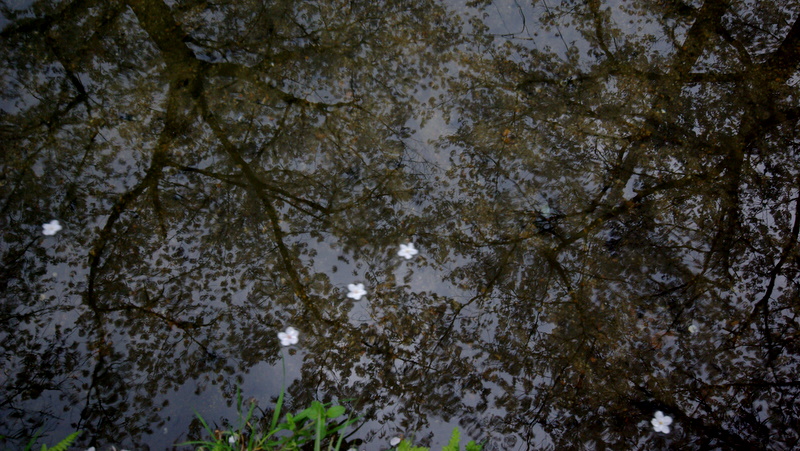 c0195327_19121020.jpg