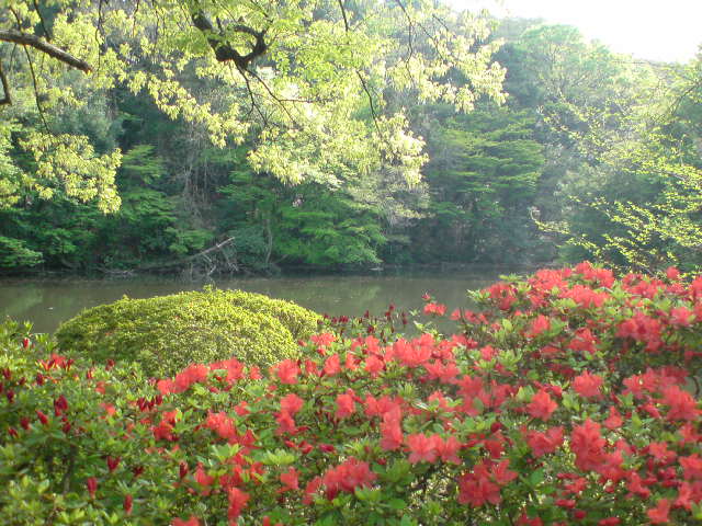 e0016828_2153421.jpg
