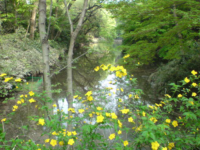 e0016828_2157346.jpg
