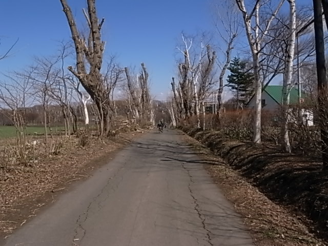 e0173533_1736062.jpg