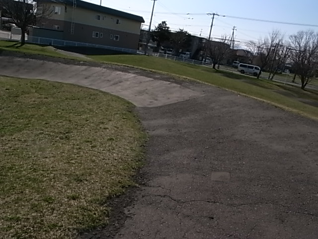 e0173533_1748743.jpg