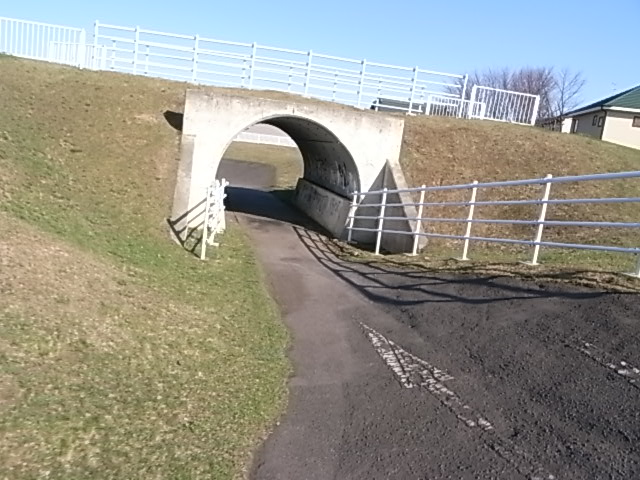 e0173533_1749650.jpg