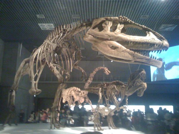c0120240_125834.jpg