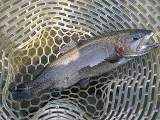 f0065341_15405679.jpg