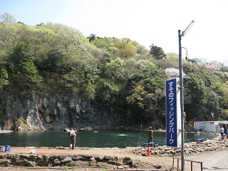 f0065341_1540664.jpg