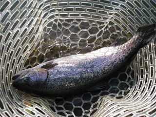 f0065341_15422571.jpg