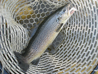 f0065341_15431578.jpg