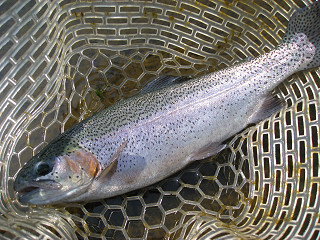 f0065341_15442010.jpg
