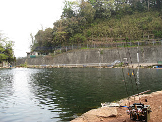 f0065341_15451639.jpg