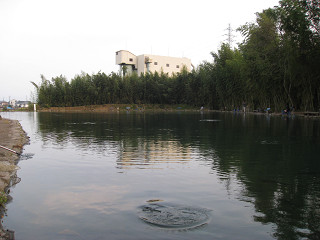 f0065341_15464491.jpg
