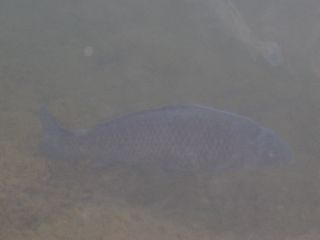 f0065341_15482981.jpg