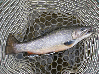 f0065341_1548522.jpg