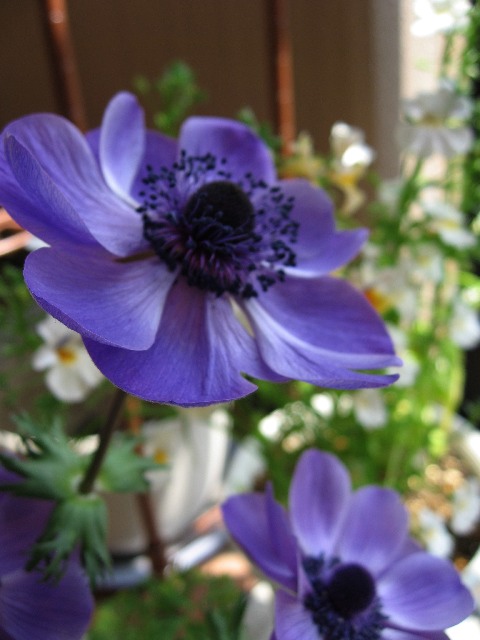 a0051742_2149163.jpg