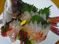 b0028347_16232429.jpg