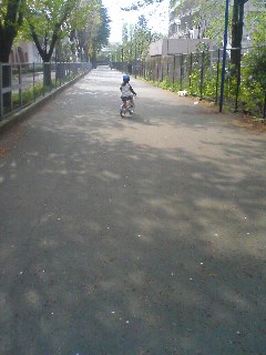 b0081348_22265023.jpg