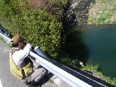 c0153951_13361621.jpg
