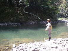 c0153951_13393526.jpg