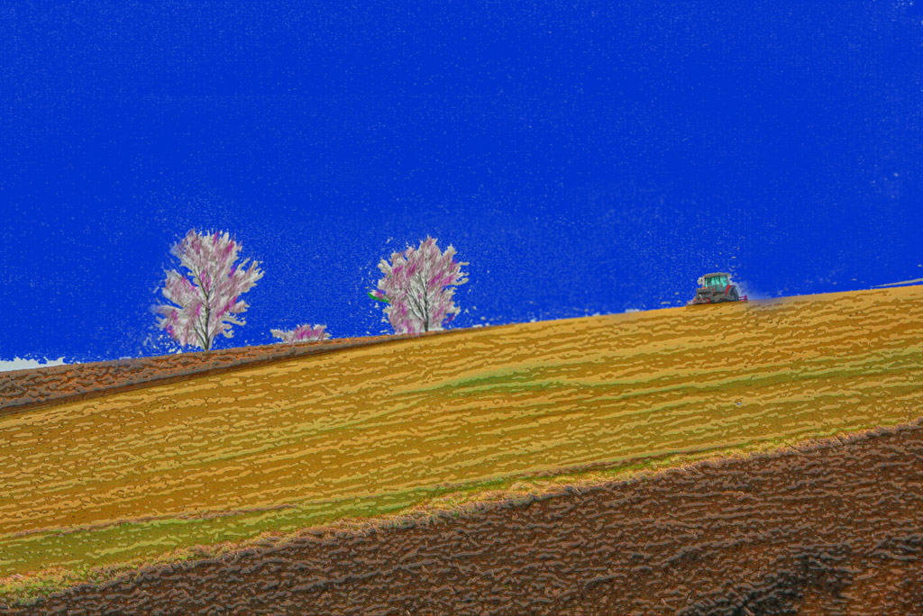 c0199552_095622.jpg