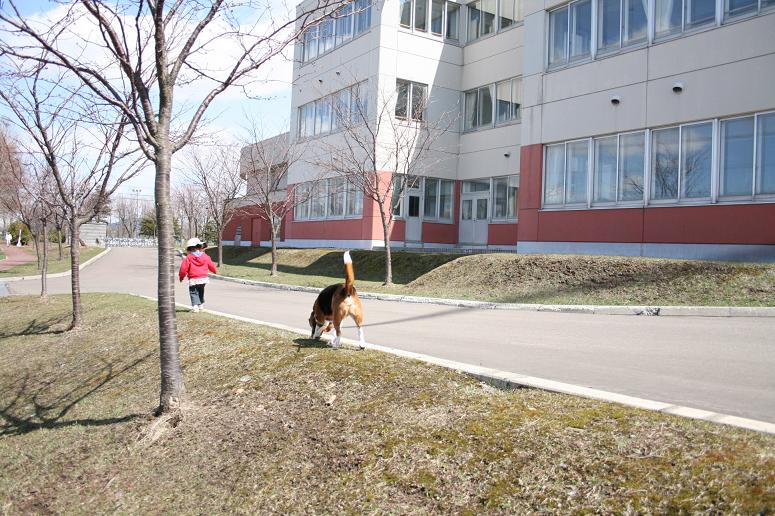 d0015453_1451507.jpg