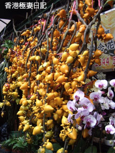 f0190653_1728122.jpg