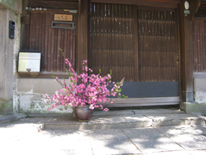 e0098256_20242598.jpg