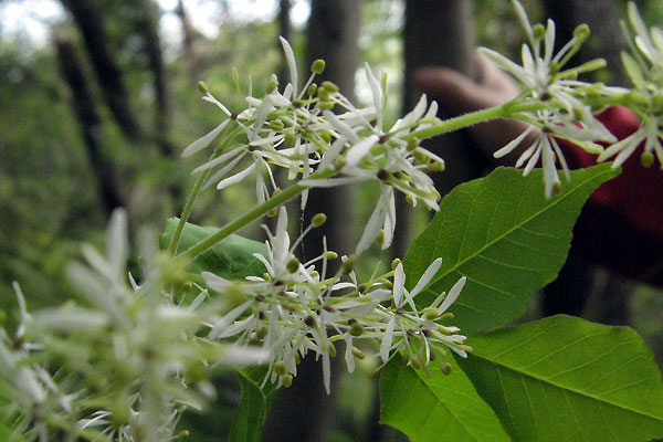f0007956_162169.jpg