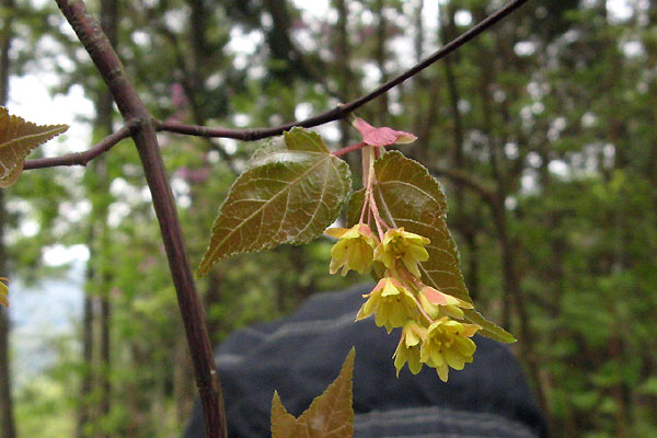 f0007956_1625852.jpg