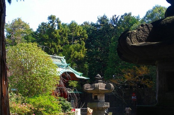 c0119160_2265269.jpg