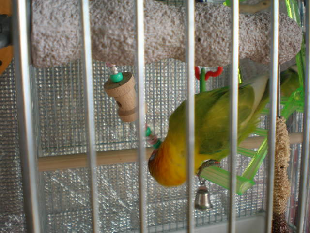d0142061_19352935.jpg