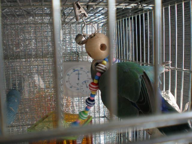 d0142061_19473086.jpg
