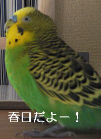 f0196665_0122251.jpg
