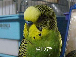f0196665_0253039.jpg