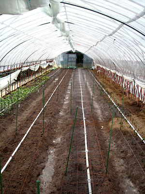 e0097770_235914.jpg