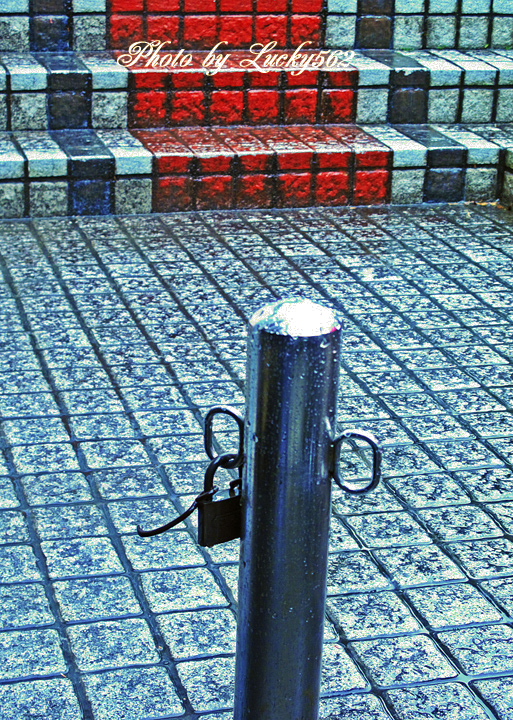 e0002371_11571793.jpg