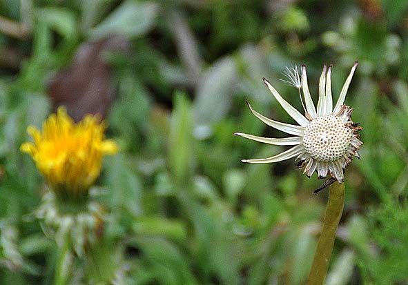 f0198771_056568.jpg
