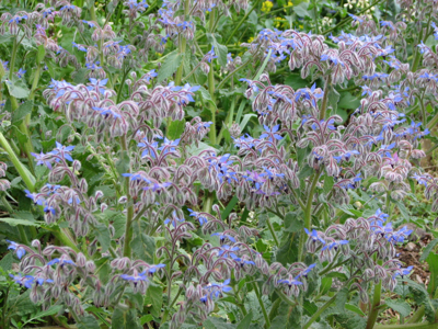 d0050472_18204371.jpg