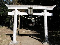 b0004675_10151521.jpg