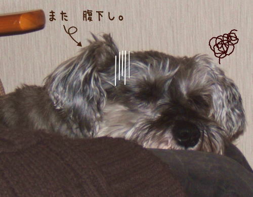 f0145575_18131358.jpg