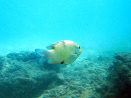 a0002177_21465316.jpg