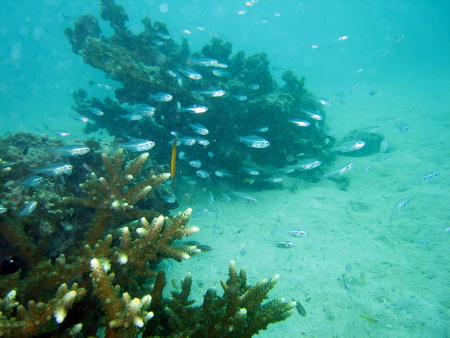 a0002177_21542512.jpg