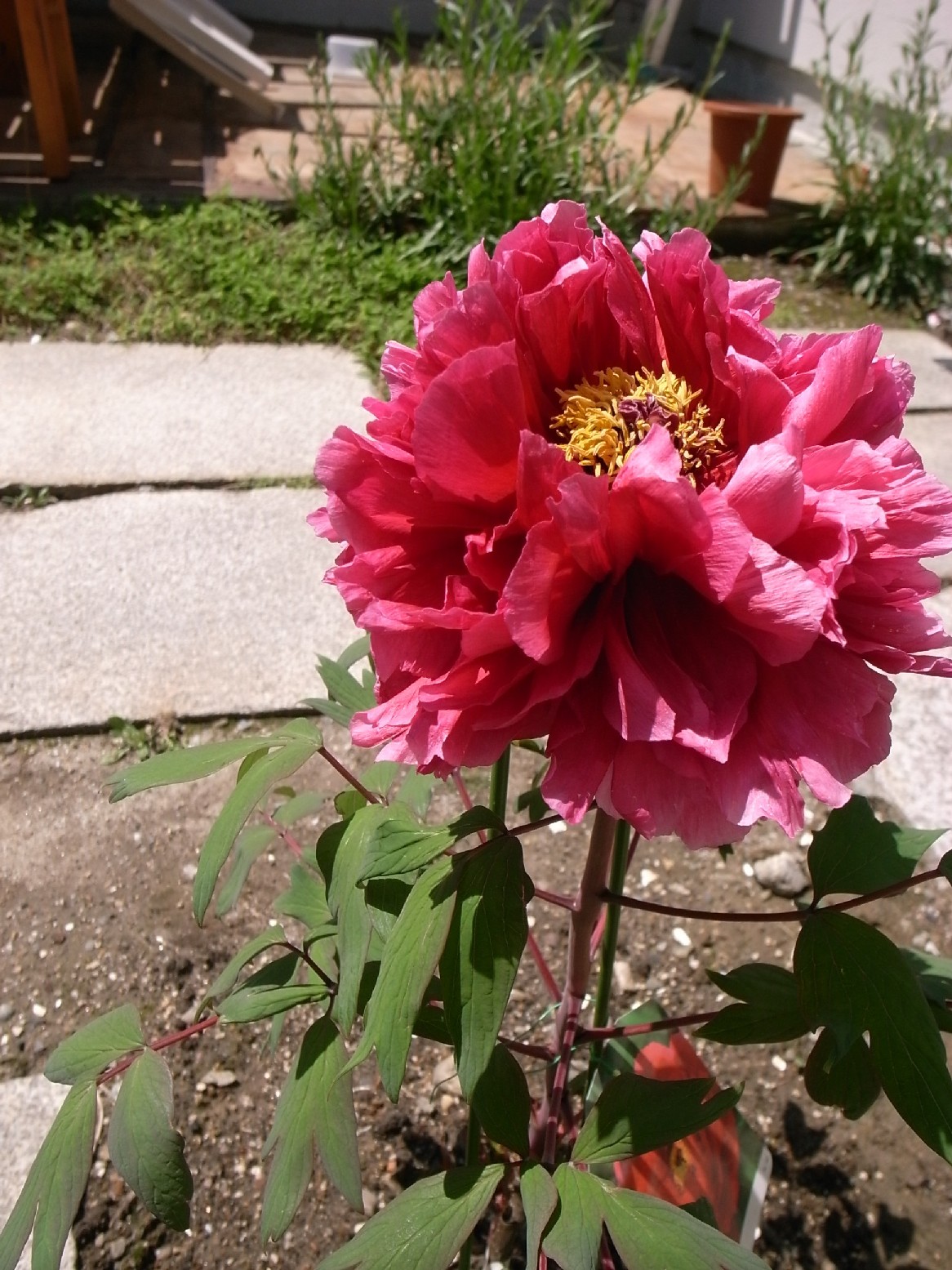 c0090380_16343159.jpg