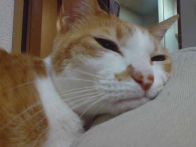 c0180581_16171618.jpg