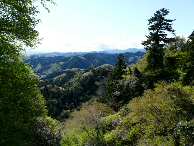 e0145782_19225883.jpg