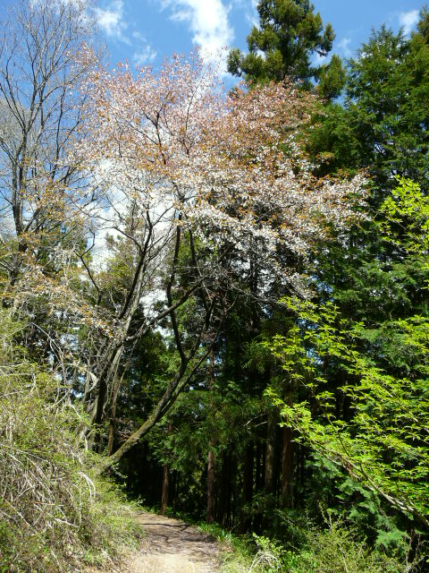 e0145782_19243090.jpg