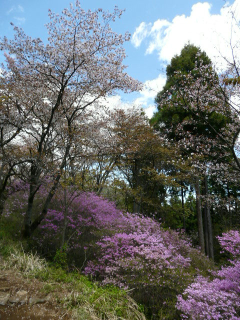 e0145782_19245234.jpg