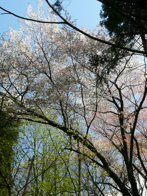 e0145782_1924670.jpg