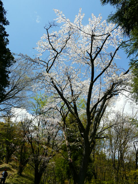 e0145782_19253723.jpg