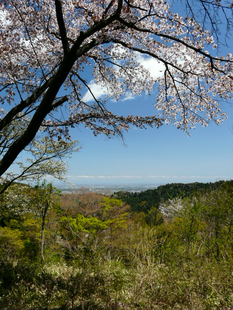 e0145782_19255998.jpg