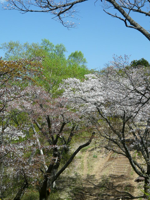 e0145782_19265619.jpg
