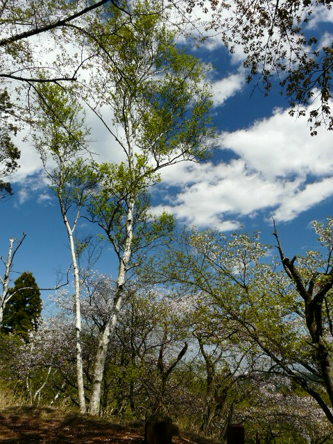 e0145782_19271697.jpg